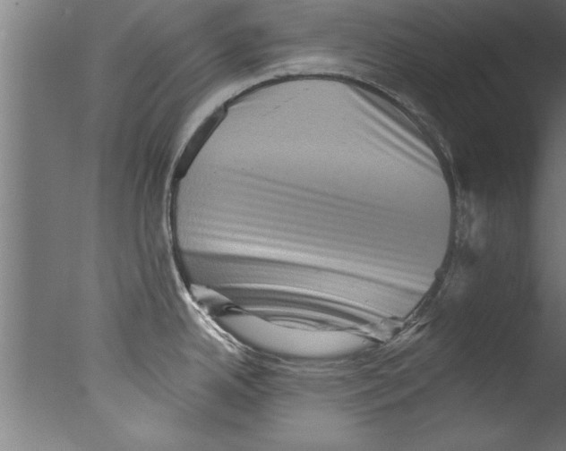 X0000076101342200610202126