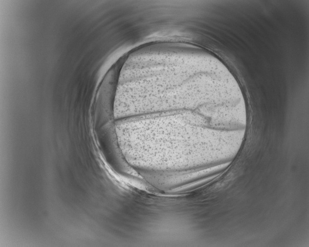 X0000076101344200610202126