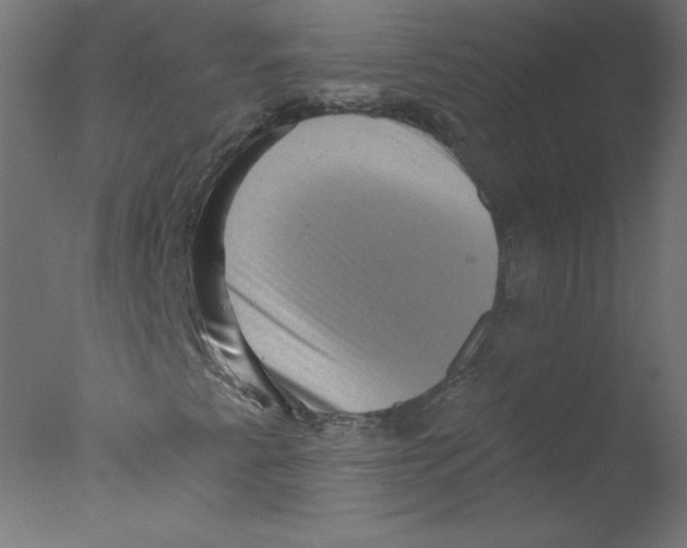 X0000076101345200610202125