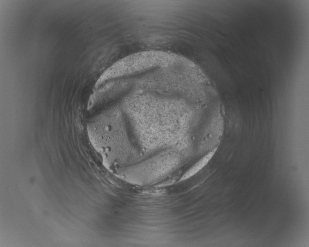 X0000076101346200610202125