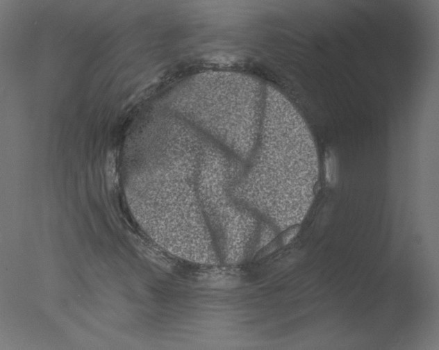 X0000076101347200610202125