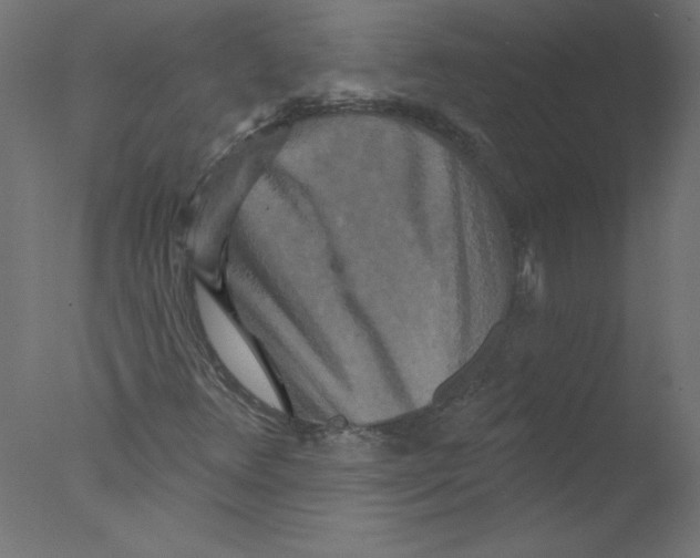 X0000076101348200610202125