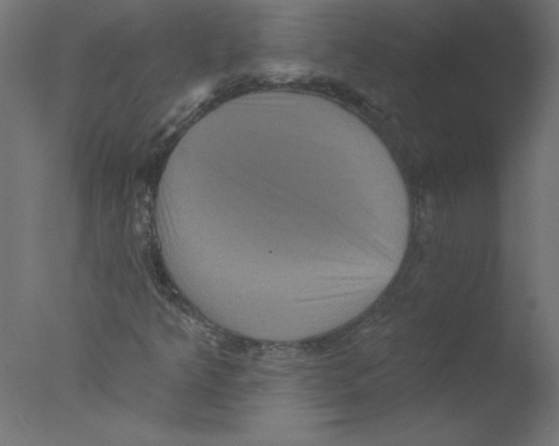 X0000076101349200610202125