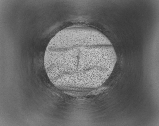 X0000076101350200610202125