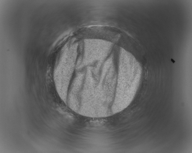 X0000076101351200610202125