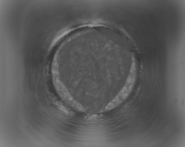 X0000076101352200610202125