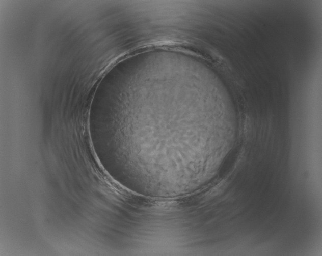 X0000076101353200610202125