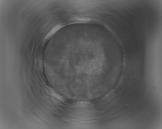 X0000076101354200610202125