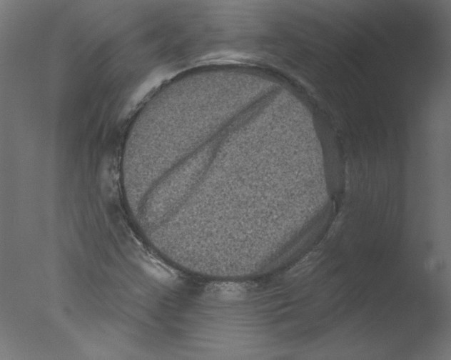 X0000076101355200610202125