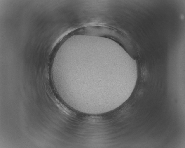 X0000076101356200610202125