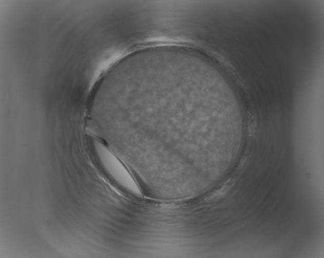 X0000076101357200610202125