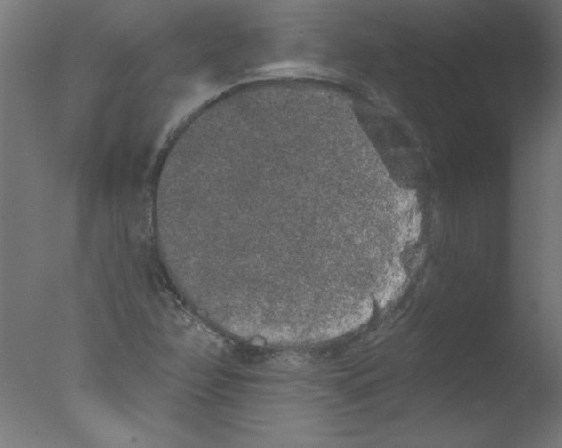 X0000076101358200610202125