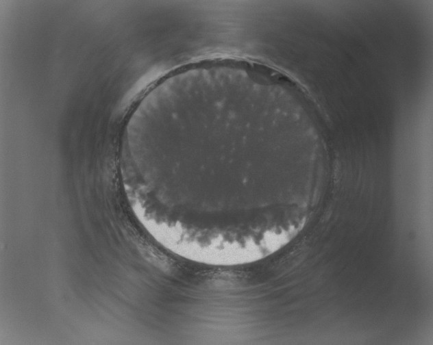 X0000076101359200610202125