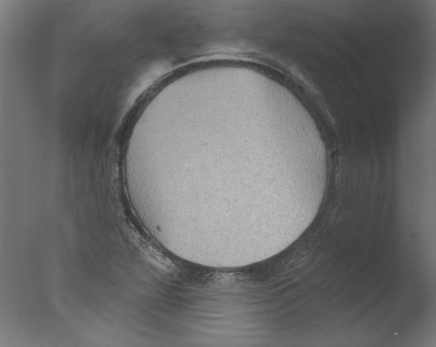 X0000076101360200610202125