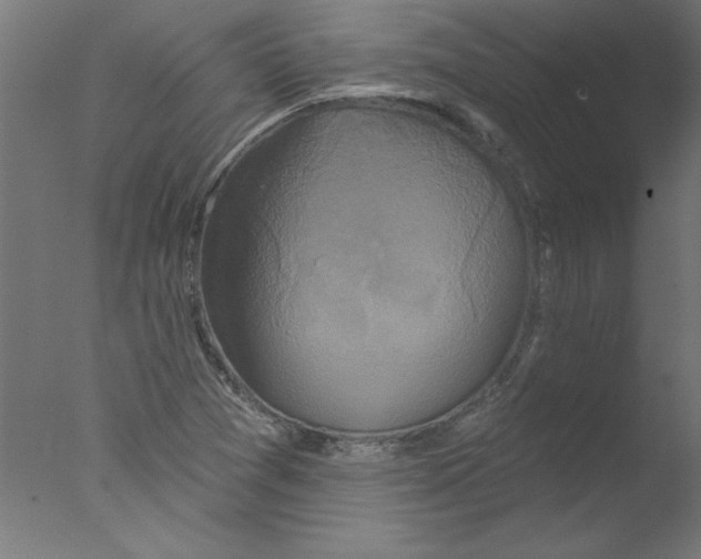 X0000076101361200610202125