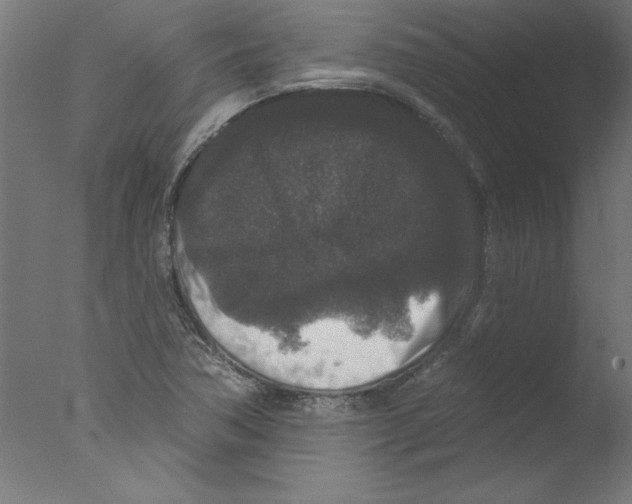 X0000076101362200610202125