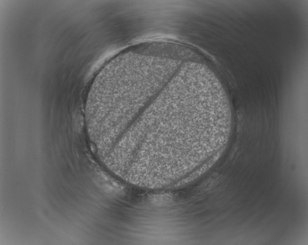 X0000076101363200610202125