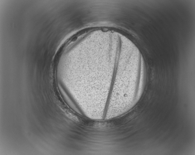 X0000076101364200610202125