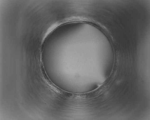 X0000076101365200610202125