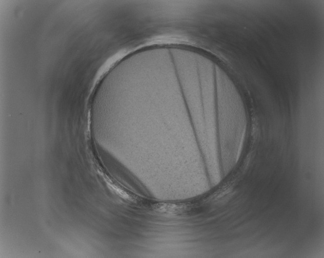 X0000076101366200610202125