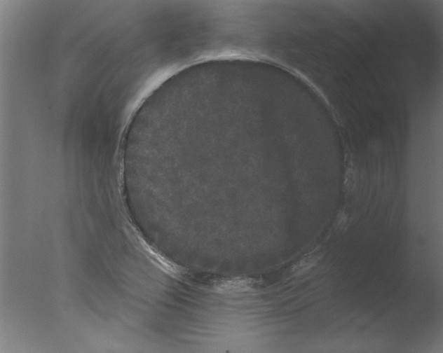 X0000076101367200610202125