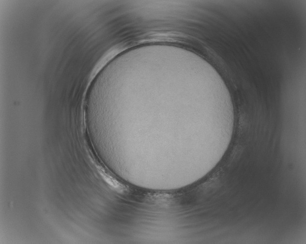 X0000076101370200610202124