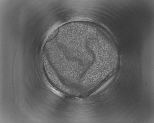 X0000076101371200610202124