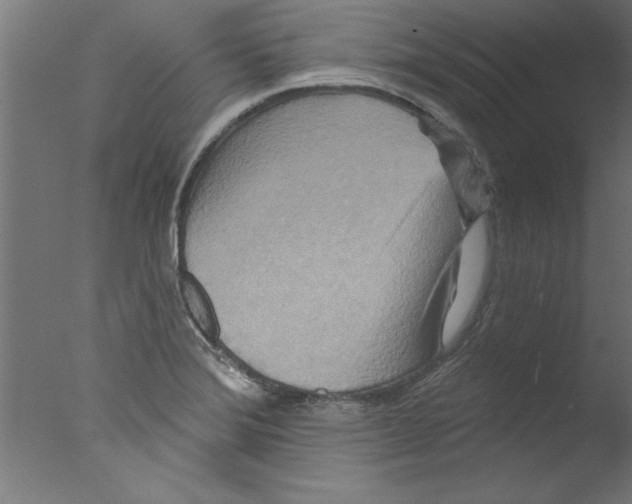 X0000076101372200610202124