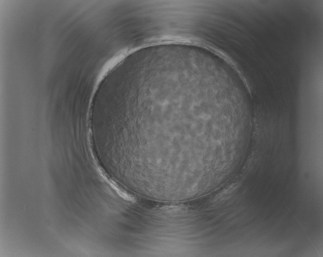 X0000076101373200610202124