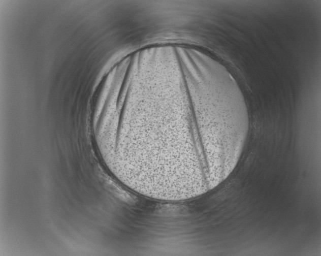 X0000076101374200610202124