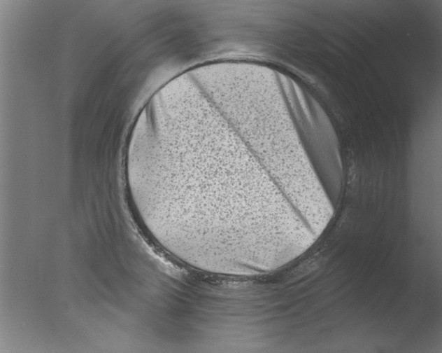 X0000076101375200610202124