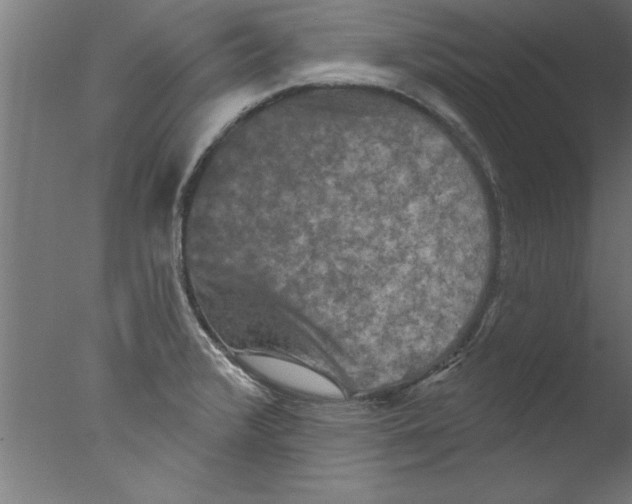 X0000076101376200610202124