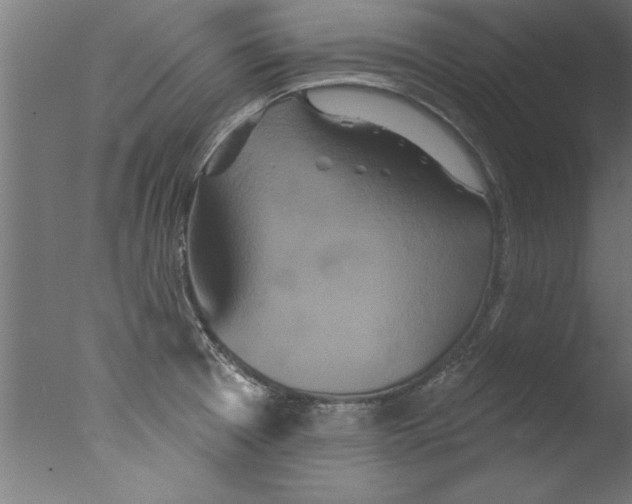 X0000076101377200610202124