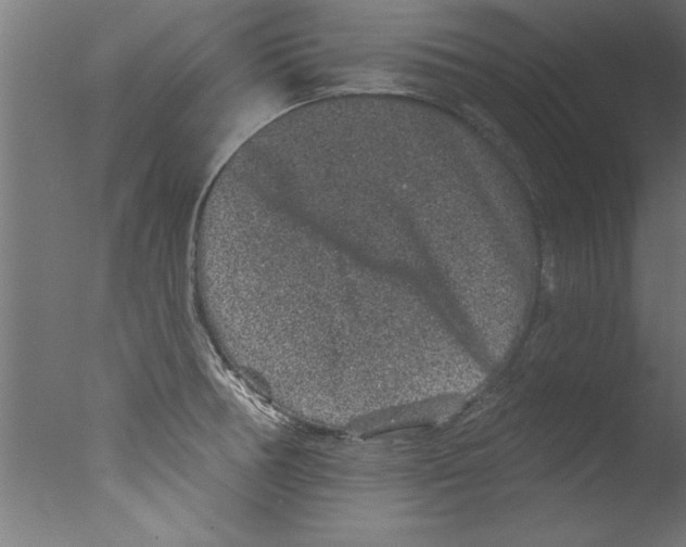 X0000076101378200610202124