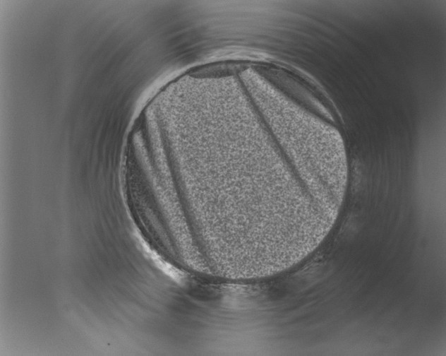 X0000076101379200610202124