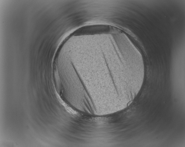 X0000076101380200610202124