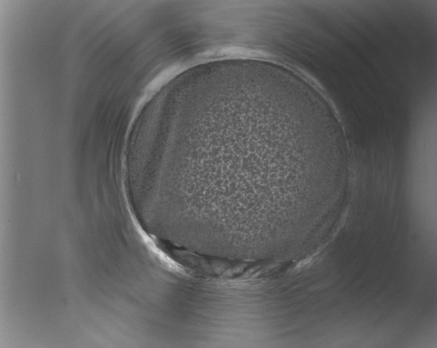 X0000076101381200610202124