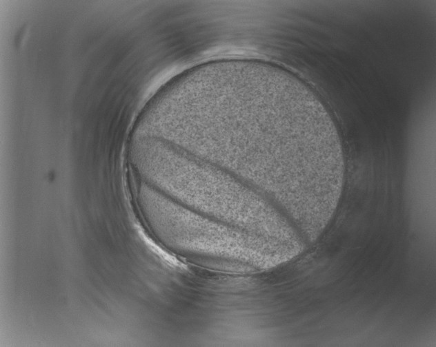 X0000076101382200610202124