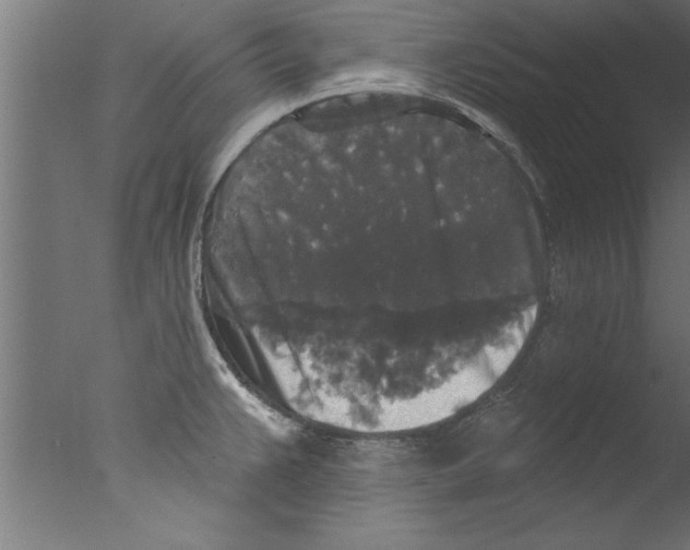 X0000076101383200610202124