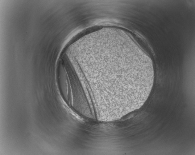 X0000076101384200610202124