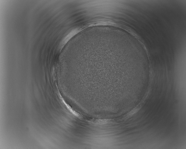 X0000076101385200610202124