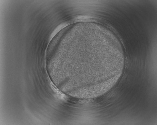 X0000076101386200610202124