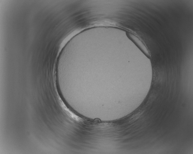 X0000076101387200610202124