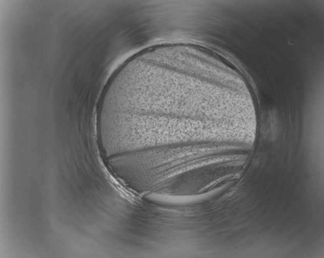 X0000076101388200610202124