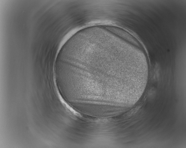 X0000076101389200610202124