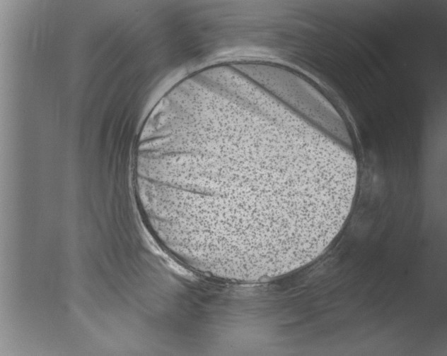 X0000076101390200610202124