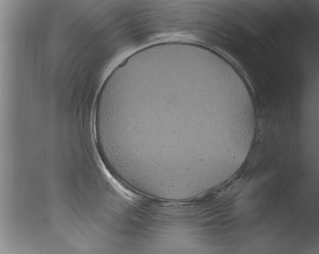 X0000076101391200610202124