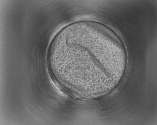 X0000076101392200610202124