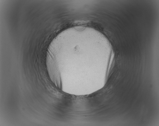 X0000076101393200610202123