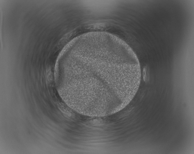 X0000076101395200610202123